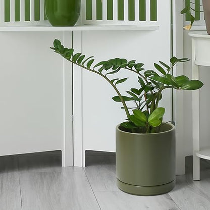 D'vine Dev 8.2 Inch Ceramic Planter Pot, Olive, 94-O-D-J | Modern Cylinder Design, Drainage Hole & Saucer Included, Stable Structure, Elegant Home Accent - color: Olive, size: Medium