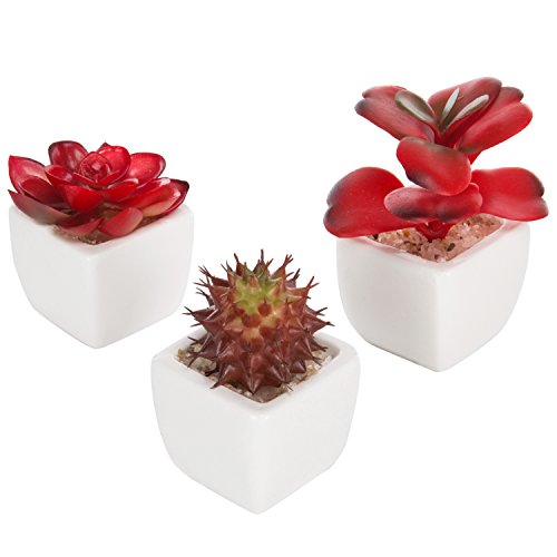 MyGift Assorted Artificial Red Succulent Plants, Mini Fake Desert Plants in White Square Pots, Set of 3 - color: Red (Set of 3)