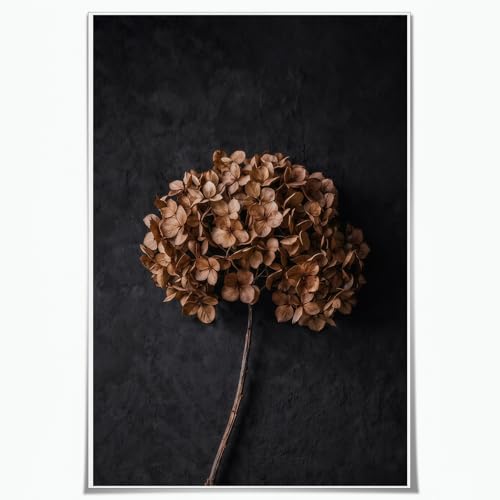 Boho Floral Art Print Vintage Minimalist Flower Poster 16x24 Inch Unframed | Boho Floral Art Print Modern Plant art poster Unframed for Living Room Bedroom Restaurant Home Apartment Dormitory - color: Moody Hydrangea Botanical Print-Unframed, size: 24"L x
