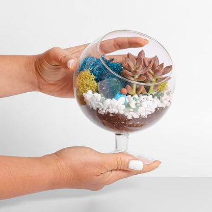 Creations by Nathalie DIY 6" Chalice Terrarium Kit Build Your Own Glass Terrarium for Adults & Teens, DIY Terrarium Kit with Live Moss, Crystals, Soil (Plant Not Included) | DIY chalice glass terrarium kit with moss and tools, including supplies for creat