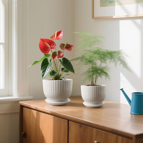 Ceramic Plant Pots,6.7 + 5.5 Inch,Ceramic Flower Pots,Planters with Drainage Hole and Saucer,Planters for Indoor Plants(Pure White) - color: Pure White