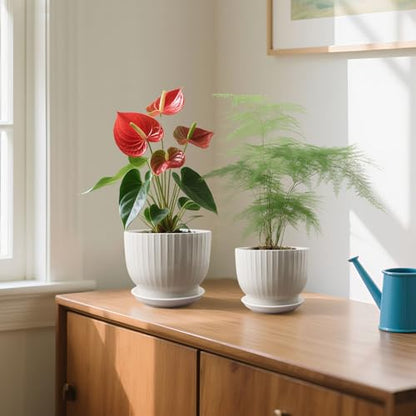 Ceramic Plant Pots,6.7 + 5.5 Inch,Ceramic Flower Pots,Planters with Drainage Hole and Saucer,Planters for Indoor Plants(Pure White) - color: Pure White