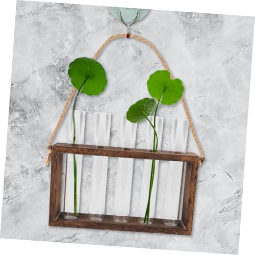 Toyvian 1 Set Wall Mounted Hydroponic Planter with Wooden Stand of Glass Test Tube Vases for Home Decoration for Plant Terrariums and Propagation Stations