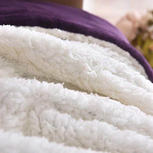 NANPiper Sherpa Blanket - Twin Size Thick Velvet Plush Reversible Bed Blanket for Winter - Purple (60"x80") - color: Purple, size: Twin