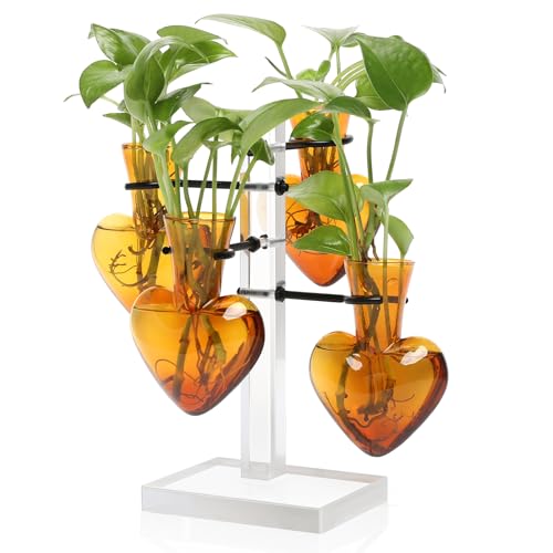 Plants Propagation Stations Plant Terrarium Kit Gift for Women | Birthday Glass Planters For Indoor Plants Home Office Decor Acrylic Plant Accessories - 4 Love Hear Vase - color: Amber