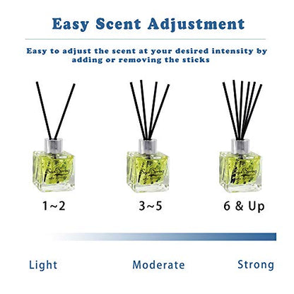Reed Diffuser Set with Sticks,Vanilla Scent Oil for Bedroom Office Gym and Stress Relief, Home Fragrance Products 50 ml / 1.7 oz