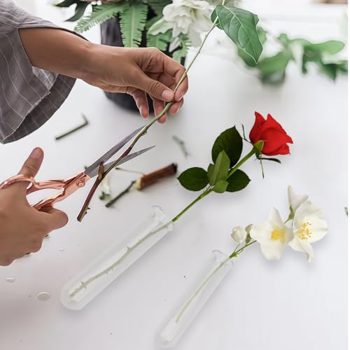 11 Pack Clear Glass Test Tubes Plant Propagation Station, 3 Sizes Wall Hanging and Desktop Glass Plant Propagation Station Hydroponic Vases for Home and Office Decor, Round Bottom