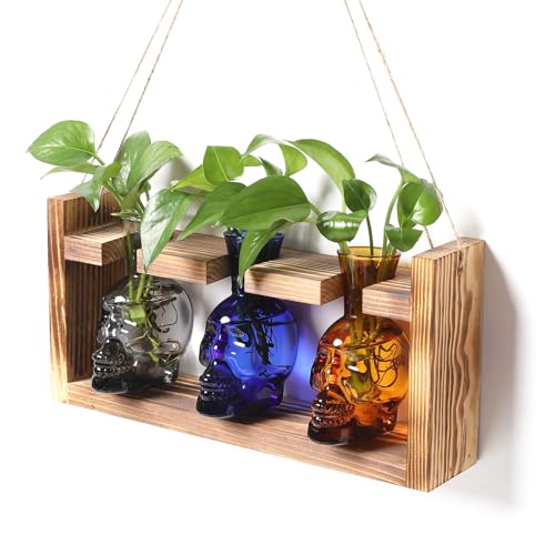 Plant Terrarium Propagation Stations Skull Planter Vase Skulls Decor | Hydroponics Halloween With Wooden Stand Gife for Father - color: Color-03