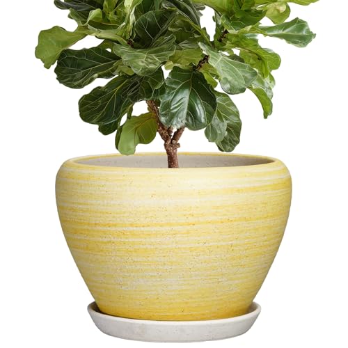 Ceramic Planter 10 Inch - Ceramic Pots for Plants Indoor Outdoor, Modern Plant Pots with Drainage Hole and Saucer, Round Decorative Planter, Bedroom Decor, Gardening Gifts, Textured Yellow - color: Textured Yellow, size: 10 Inch