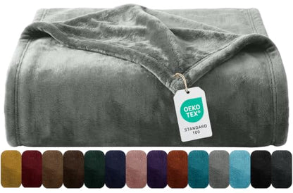 MOONLIGHT20015 Fleece Throw Blanket Super Soft Cozy for Couch, Sofa and Camping Lightweight 400 GSM Luxury Fluffy Microfiber Bed Blankets 50 x 60 Inches (Throw/Travel, Silver) - color: Silver, size: Throw