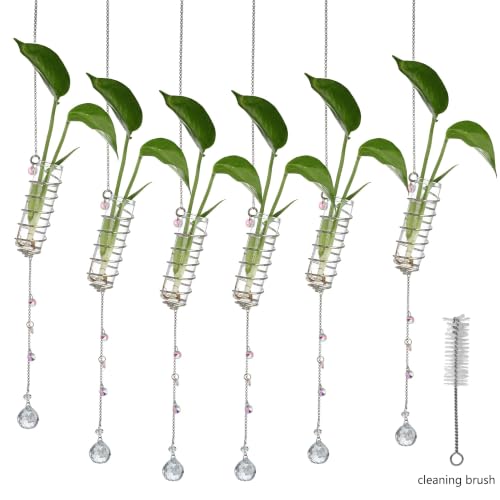 6Pcs Hanging Plant Propagation Station with Crystal Ball Prisms Suncatcher | Window Hanging Propagation Station and Cleaning Brush, Glass Plant Suncatcher for Indoor Wall Gifts for Plants Lovers(Silver) - color: Silver