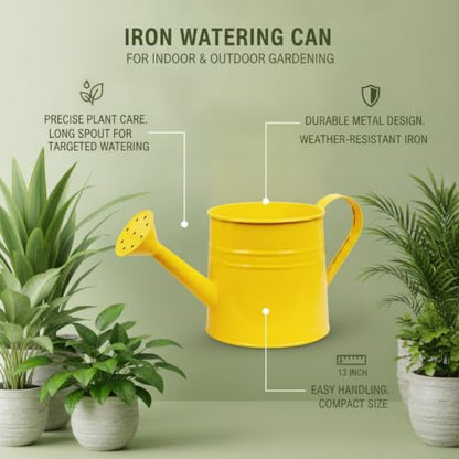 Long Spout Iron Watering Can for Indoor & Outdoor Plants, Durable Metal Design with Precise Flow Control (1 Pack) - color: Yellow