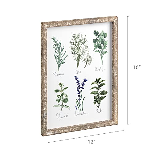 Barnyard Designs Herbs and Spices Wall Art Sign Set (Herbs A & B, 2 Signs) | Botanical Print Rustic Country Farmhouse Wood Plaque; Framed Kitchen Decor; Pair of Hanging Plaques