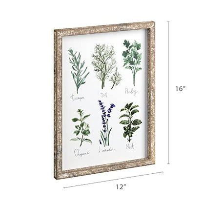Barnyard Designs Herbs and Spices Wall Art Sign Set (Herbs A & B, 2 Signs) | Botanical Print Rustic Country Farmhouse Wood Plaque; Framed Kitchen Decor; Pair of Hanging Plaques