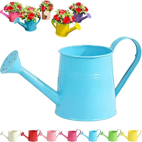 Tinplate Watering Kettle 1L, Mini Metal Watering Can with Long Spout and Handle, Vintage Flower Sprinkling Can for Indoor Plants, Patio and Garden Use (Blue-A01) - color: Blue-a01