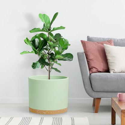 Large Plant Pots Set of 3 – 8", 9", 10" Indoor Flower Pots with Drainage Holes and Saucers, Big Planters for Monstera, Fiddle Leaf Fig, Snake Plant – 5 Colors - color: Green With Brown Base