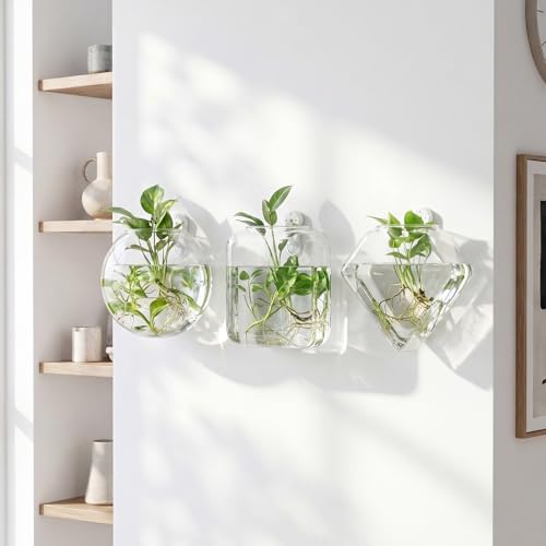 LemonRoad 6 Pcs Wall Hanging Glass Wall Hanging Planter Propagation Station Terrariums Clear Glass Vase Container for Hydroponic Plant Home Office Living Room Bathroom Garden Decor