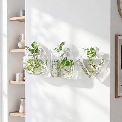 LemonRoad 6 Pcs Wall Hanging Glass Wall Hanging Planter Propagation Station Terrariums Clear Glass Vase Container for Hydroponic Plant Home Office Living Room Bathroom Garden Decor