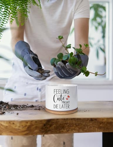 Funny Feeling Cute Might Die Later Ceramic Planter Pot for Succulent & Cactus, Unique Teacher Appreciation Gift, Birthday Gift for Plant Lovers, Decorative Plant Pot (Plant Not Included)