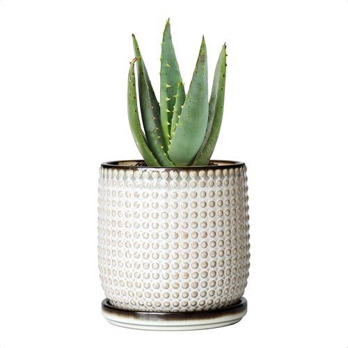 D'vine Dev Beaded Ceramic Pot with Saucer, 4 in, Smoked White, 27-C-Z-1 | Embossed Dot Texture, Smooth Glazed Finish, Timeless Vintage Charm, Drainage Holes, Stylish Accent for Modern Home Decor - color: Smoked White, size: 4.3 Inch