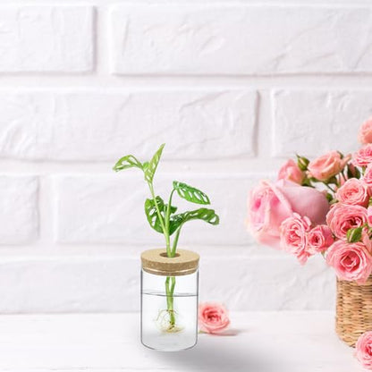 M METERXITY 1 Pack Glass Planter Terrarium with Wooden Cover, Desktop Plant Propagation Station Clear Vase for Hydroponic Plants Propagation/Home Garden Decor/Plant Lover [3.35'' x 4.72''] - size: 3.35'' x 4.72''