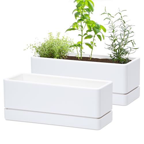 D'vine Dev 2-Pack Rectangular Planters, 12 x 4.5 in, White, 76-X-A-2 | Minimalist Design, Large Planting Capacity, Drainage Holes & Saucer, Thick-Walled Durable Build, Ideal for Windowsills - color: White