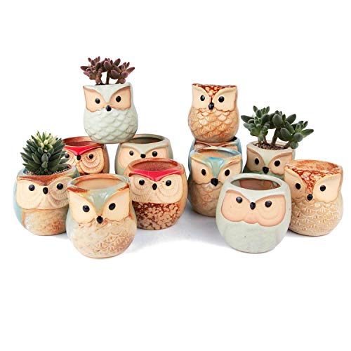 T4U Owl Succulent Pots, Mini Ceramic Gift Planter Set with Drainage 12 Pack | Cute owl design containers, for live cactus plants, bonsai starter pots, indoor garden decor, office desk top decoration - color: Owl, size: Pack of 12