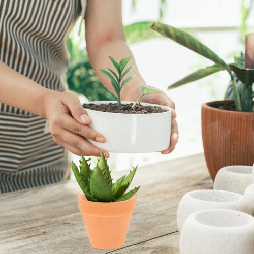 DECHOUS 12-Pack Mini Terracotta Pots, 2.16 Inch Clay Planters | Small Plant Pots with Drainage Holes for Succulents, Cactus, Herbs, Seedlings, Indoor Gardening, DIY Crafts
