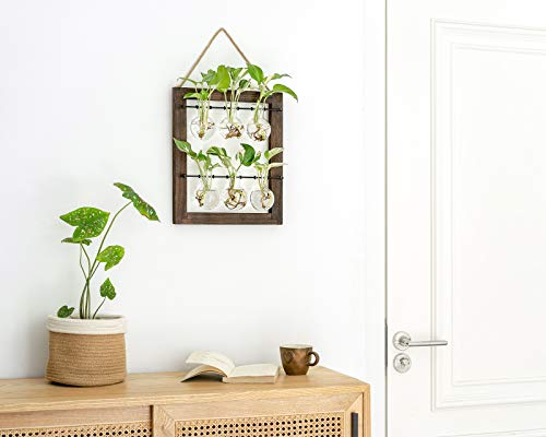 Mkono Plant Propagation Station, Wall Hanging 2-Layer Glass Terrarium Vases | Wood Stand Planter, Hydroponic Flower Cuttings, Premium Bulb Jars,Retro Design,Clear Root View,Home Office Garden Decor