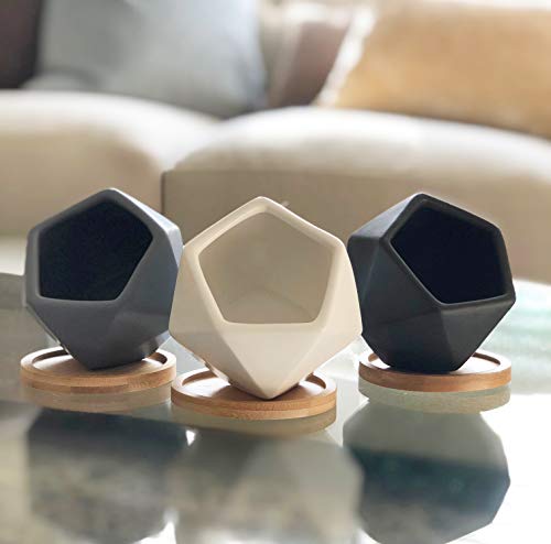 Modern Geometric Ceramic Succulent Pots 3" Planters with Drainage | Bamboo Tray | 3 Pack - color: White Black Grey Geometric 3"