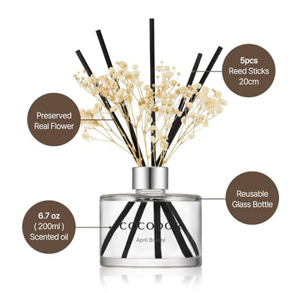 COCODOR Preserved Real Flower Reed Diffuser/Clean Linen / 6.7oz(200ml) / 2 Pack/Reed Diffuser Set, Oil Diffuser & Reed Diffuser Sticks, Home Decor & Office Decor, Fragrance and Gifts - size: Real Flower/6.7Ounce/2Pack
