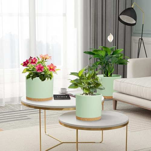 Large Plant Pots Set of 3 – 8", 9", 10" Indoor Flower Pots with Drainage Holes and Saucers, Big Planters for Monstera, Fiddle Leaf Fig, Snake Plant – 5 Colors - color: Green With Brown Base