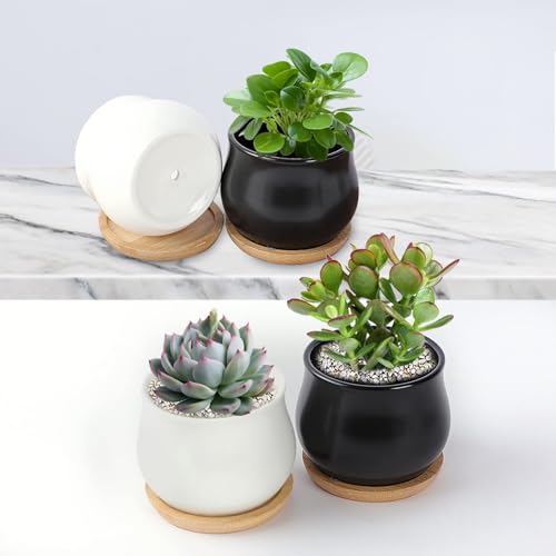 SHECIPIN 2 Pack Succulent Pots, 2.5 Inch Mini Ceramic Pots for Flower or Cactus Plants with Drainage Hole,Plants Not Included (White) - color: 2 Pack White Mini Pots