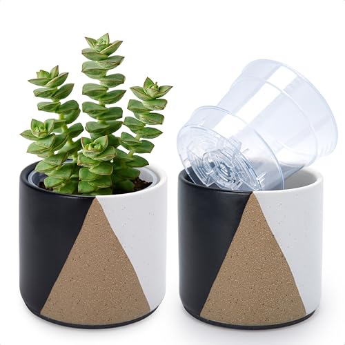 D'vine Dev 2-Pack Cachepot with Clear Pot, 4.5 in, Midnight Mesa, 93-V-B-2 | Dual-Pot System, Root Visibility, Bottom Watering Support, Enhanced Drainage, Artistic Stoneware Design, Easy Plant Care - color: Midnight Mesa, size: 4.5” Cachepot + 4“ Clear Gr