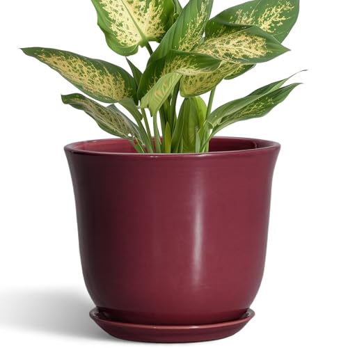 Ceramic Pots for Plants - 5.6 Inch Plant Pot for Indoor Outdoor, Round Succulent Orchid Pot with Drainage Hole and Saucer, Modern Small Planter, Window Office Desk Decor, Teacher Gifts, Red - color: Red, size: 6 Inch