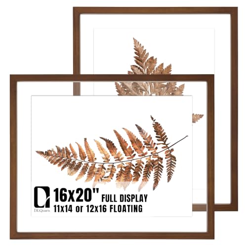 DLQuarts 16x20 Floating Picture Frame for 12x16/11x14 Photos, 2-Pack Solid Wood Double Plexiglass Wall Art Frames, Any Size Photo up to 16x20 Display, Black Walnut - color: Black Walnut, size: 16x20