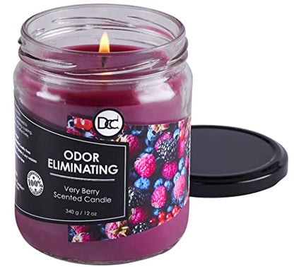 Very Berry Odor Eliminating Highly Fragranced Candle - Eliminates 95% of Pet, Smoke, Food, and Other Smells Quickly - Up to 80 Hour Burn time - 12 Ounce Premium Soy Blend - color: Very Berry