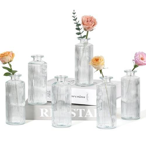 6PCS Mini Bud Vases As Vertical Wedding Centerpieces for Tables,Clear Bud Vases for Flowers,Small Flower Vases Suitable for Birthday Party,Anniversary,Wedding,Baby Shower (Clear-5.2in) - color: 6pcs