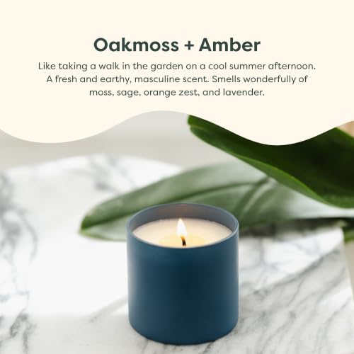 Dignity Series Oakmoss & Amber Scented Candle | 35 Hour Burn - Made in the USA Luxury Clean Soy Wax Candles - Long Lasting Glass Jar Candle for Home - 1 Wick - 5.3oz - color: Oakmoss + Amber