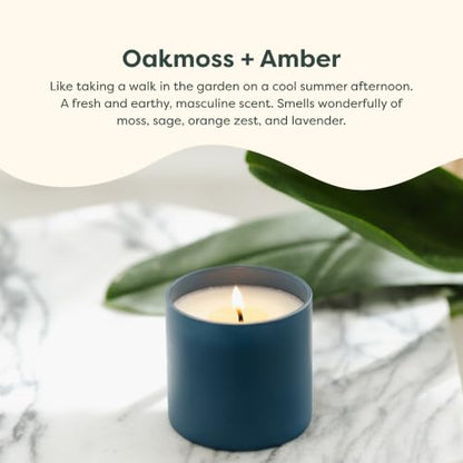 Dignity Series Oakmoss & Amber Scented Candle | 35 Hour Burn - Made in the USA Luxury Clean Soy Wax Candles - Long Lasting Glass Jar Candle for Home - 1 Wick - 5.3oz - color: Oakmoss + Amber