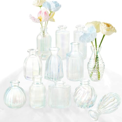Bud Vases Set of 12, Iridescent Glass Vase for Decor Centerpieces | Small Vases for Flowers, Clear Irised Flower Vase Ribbed Modern Bud Vases Colorful Vases for Wedding Party Table Decoration - color: Iridescent, size: 1 Pack