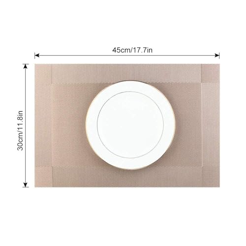 DACHUI Placemats Set of 4, Stylish Woven Place Mats for Dining Table, Washable & Durable PVC Table Mats (Champagne) - color: Champagne, size: 4PCS