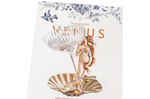 Venus Seashell Coupe Cocktail Glasses | Set of 4 | 8 oz Crystal Ribbed Champagne Saucers for Drinking P-Star and Espresso Martini, Margarita, Daiquiri, Cosmopolitan, Gimlet | Elegant Gift Glassware