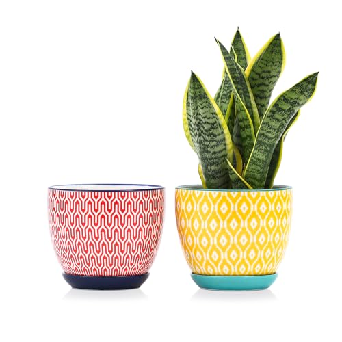 Selamica Ceramica Plant Pots, 6.5 Inch Flower Pots Set of 2 with Drainage Holes & Saucer, Planters for Indoor Plants, Home Decor, Assorted Colors - color: Assorted Colors, size: 6.5 Inch, Set of 2