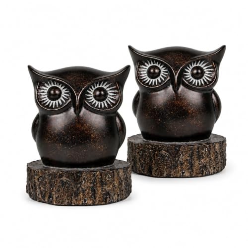 Owl Bookends for Shelves, Resin Book Ends Set of 2 | Anti-Slip Base, Antique Bronze Owl Design, Office Bookshelf Decor - style: Whimsical