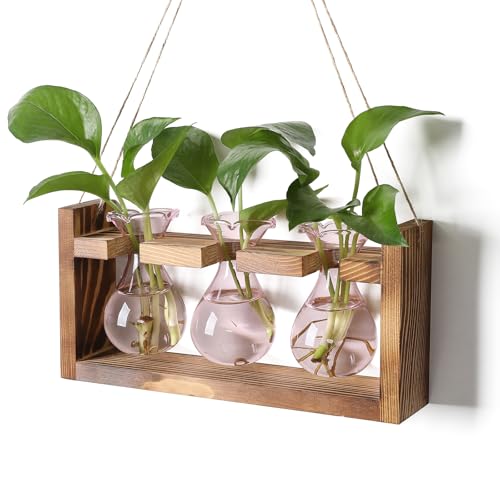 Plant Propagation Station Plant Terrarium Unique Birthday Gifts for Women | Plant Lovers Home Office Decor Planter with Wooden Stand - 3 Bulb Glass Vase - color: Pink