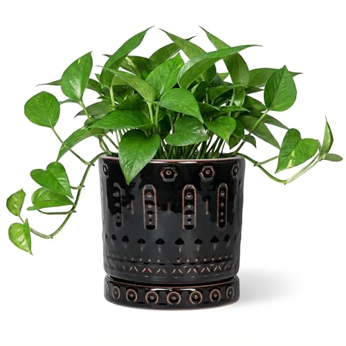 Eightpot 6 Inch Plant Pot, Ceramic Pots for Plants with Drainage Hole and Saucer, Round Planter for Indoor Outdoor Plants, Modern Decorative Flower Pots, Bedroom Decor, Gifts for Plant Lovers, Black - color: Black - 2, size: 6 Inch