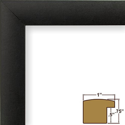 Craig Frames 1WB3BK 12 by 12-Inch Black Picture Frame, Single White Collage Mat with 4-4 by 6-Inch Openings - color: 500121201C53A 4x6 2-Opening - 1" Border