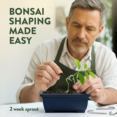 HOME GROWN Bonsai Tree Starter Kit – Unique Christmas Gift for Adults, Men, Women - Grow 4 Bonsais – DIY Crafts Hobby Gardening Kit for Plant Lovers, Mom, Dad - White Elephant Gifts for Adults - style: Starter Bonsai Grow Kit