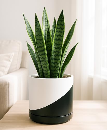 D'vine Dev 8.2 Inch Ceramic Planter Pot, Black White Diagonal, 94-O-D-K | Modern Cylinder Design, Drainage Hole & Saucer Included, Stable Structure, Elegant Home Accent - color: Oblique Monochrome Black & White, size: Medium